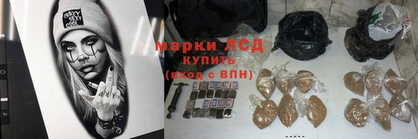 соль ск Краснослободск