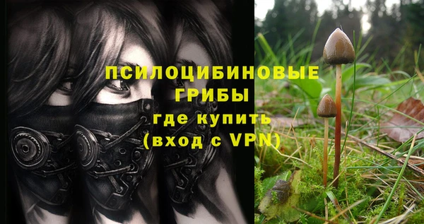 МДПВ Козельск