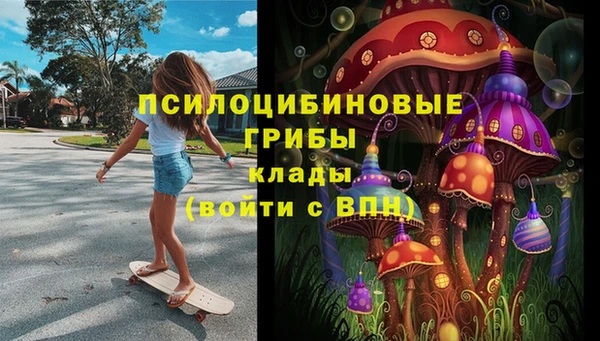 крисы Кинешма