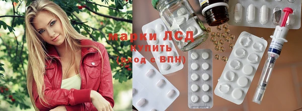 крисы Покачи