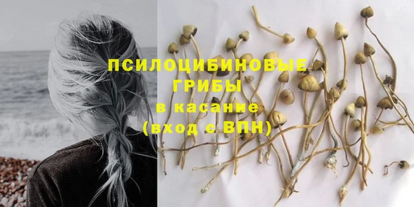 не бодяженный Козловка