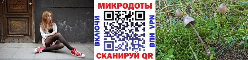 Галлюциногенные грибы прущие грибы Костерёво